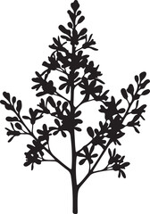 Obraz premium Neem Leaf and Flower Silhouette Vector Illustration Isolated on White Background