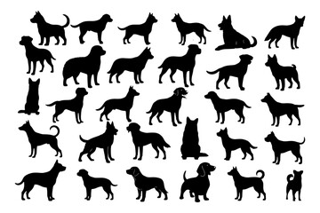 Fototapeta premium Dog Breed Silhouettes Set – Hand Drawn Pet and Puppy Vector Icons
