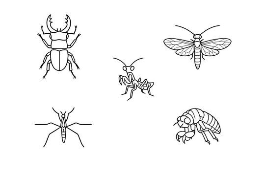 This set features five white line drawings of various insects such as a stag beetle, praying mantis, and dragonfly, all presented as minimalist icons on a plain black background.