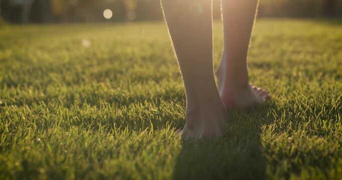 Sunbeams light up green grass texture. Feet move through tall grass meadow. Golden hour creates warm atmosphere on grass. Summer nature scene implies freedom and relaxation.