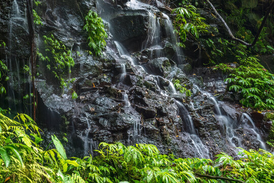 Water cascading down the ravine slope in the tropical rainforest of northern Bali, Indonesia. Lush vegetation in the surroundings. 
