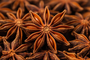 Macro Close-up of Dried Chinese Star Anise Seed Highlighting Radiant Brown Petals and Natural Spice Elegance