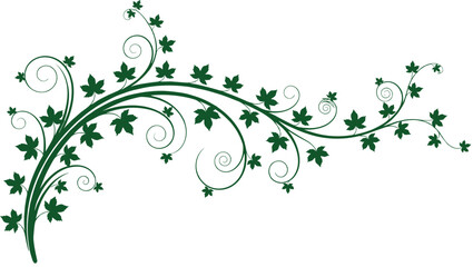 Elegant green floral vine ornament with swirling leaves decorative botanical border design isolated on white background illustration