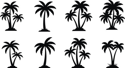 Obraz premium Black palm tree silhouettes set isolated on white background, tropical coconut tree vector icons, summer beach vacation and exotic nature elements