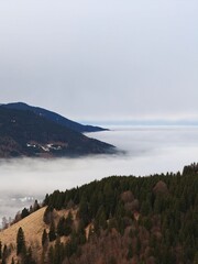 fog over the mountains