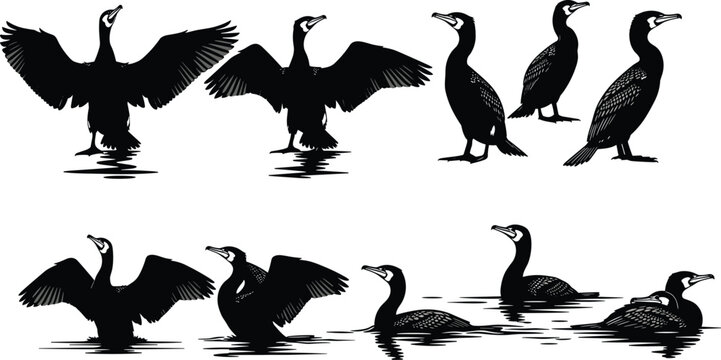 &ldquo;Silhouette illustrations of cormorants in standing and swimming poses symbolizing wildlife, water birds, nature, and artistic representation&rdquo;