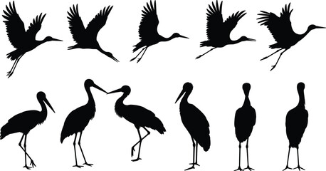 Fototapeta premium Crane bird silhouette poses collection, flying and standing stork wildlife shapes, elegant waterbird illustration set, isolated black vector