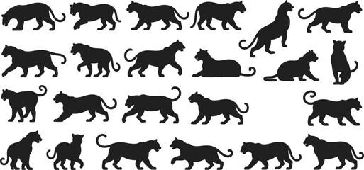 Big cat silhouettes collection, panther vector set, leopard illustration, wildlife icons, feline pictograms, predator design graphics, animal art, jungle shapes © Hey World
