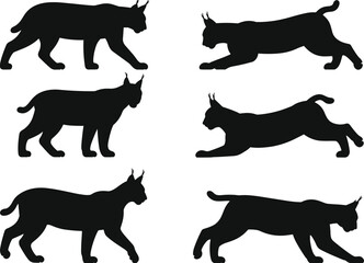 Lynx wild cat silhouette poses collection, stalking and running feline movements, black predator wildlife illustration set, isolated vector © Hey World