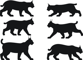 Lynx wild cat silhouette poses set, stalking walking running feline movements, black predator wildlife illustration, isolated vector design elements collection © Hey World