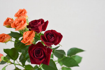 Obraz premium 赤とオレンジのばら