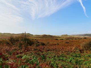 Daytime scene captures a wide vista of rolling hills, covered in deep brown autumn ferns and some green plants. A calm blue sky stretches above.