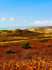 A rolling coastal landscape in autumn, with vibrant reddish-brown bracken and green grass leading down to a calm turquoise sea under a bright blue sky.