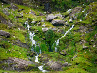 Idyllic scene of water flowing through nature.