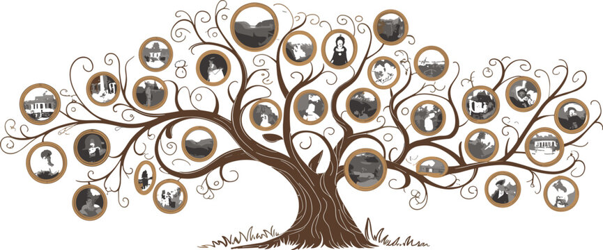 Stylized family tree illustration, genealogy heritage design, decorative swirls, circular photo frames, ancestry generations, artistic symmetrical nature, isolated white background