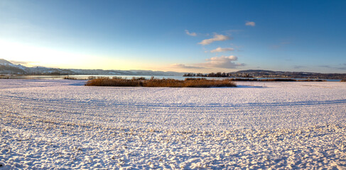 Seedamm peninsulla in the winter, Schwyz, Switzerland