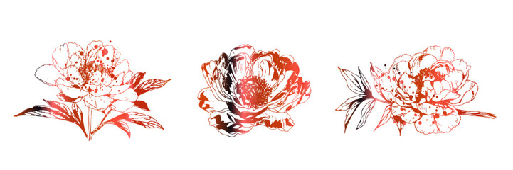 Elegant single peony flower illustration in minimal botanical line art style. Delicate outlines and soft details create a modern floral artwork perfect for branding, packaging and wedding design.