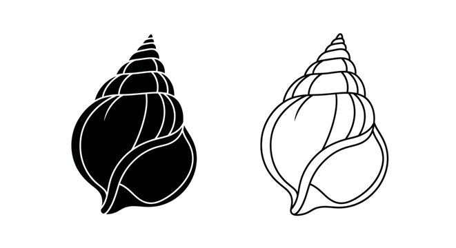 Minimalist seashell artwork with black and white outline design Vector