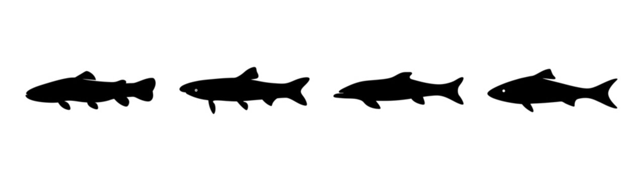 Set of bichir fish silhouettes in flat design vector illustration