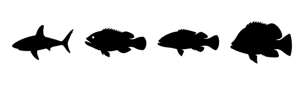 Set of black fish silhouettes on white background vector illustration