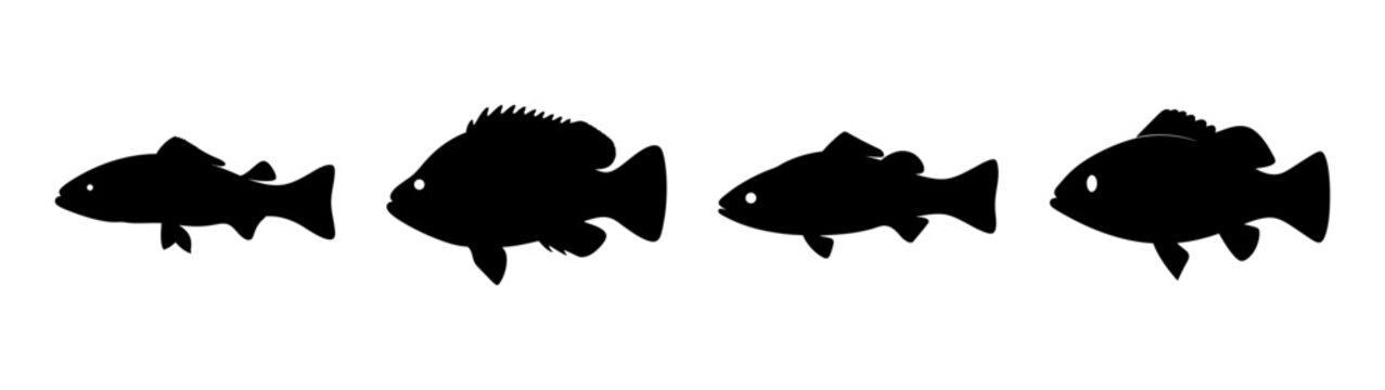 Nile Perch Fish Silhouettes in Flat Design Vector Illustration