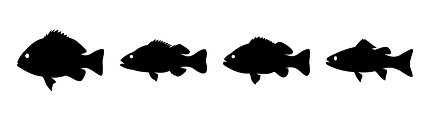 Collection of Sea Bass Silhouettes in Flat Design Vector Illustration