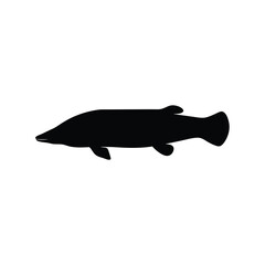 Fototapeta premium Arapaima Fish Silhouette Flat Design Vector Illustration