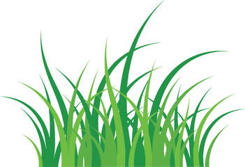 Fototapeta premium Green Grass Illustration with Fresh Lawn Blades and Natural Meadow Foliage for Spring, Summer, Landscape, Ecology, and Outdoor Design Projects