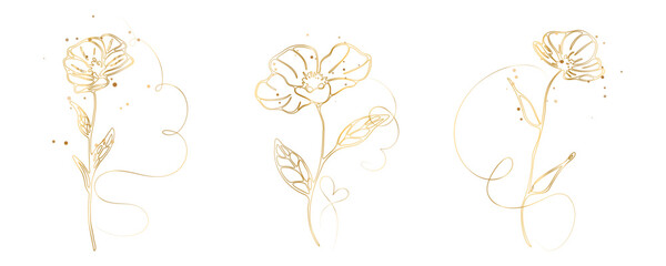 Elegant gold line flower with watercolor splash, modern botanical minimal illustration - Minimal gold line flower with soft watercolor splash, botanical element isolated on light background.