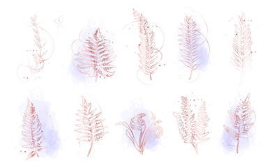 Minimal gold line fern leaf set with watercolor accents, elegant botanical illustration. Elegant gold line fern leaves with soft watercolor background, modern botanical decorative collection.