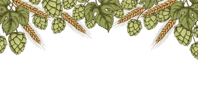 A horizontal top border of green hops and golden wheat ears, hand-drawn in a vintage style for beer-related designs.