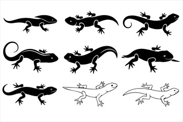 Obraz premium Lizard and Salamander Vector Icon Set - Reptile and Amphibian Silhouette Illustrations