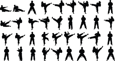 Martial arts karate silhouettes collection isolated on white background, fighting and kicking poses set for combat sport training design © Jakir