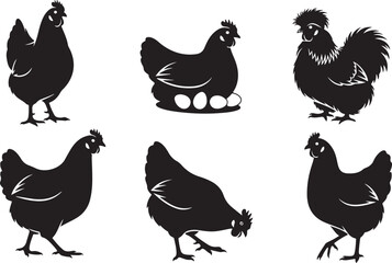 Adobe Illustrator Artwork © Ripon