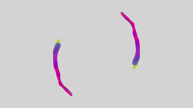 Two colorful curved lines with yellow tips are shown