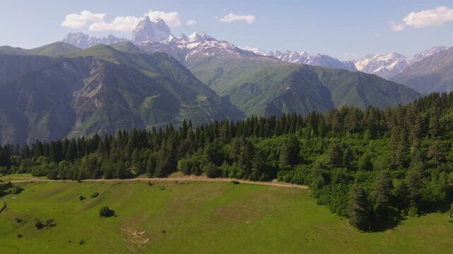 Aerial view glides over alpine meadow and conifer forest with hikers on a dirt track, Ushba massif towers above green ridges and glaciers in Svaneti, Georgia