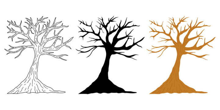 Bare winter tree branch vector collection in black, white, and brown. Hand drawn set of bare trees in black, brown, and line art styles