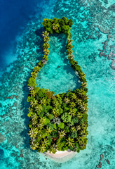 Isola Tropicale Paradiso Vista Aerea Mare Turchese