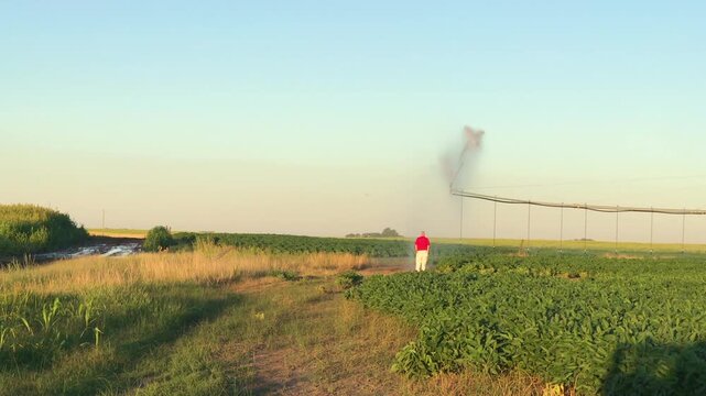 Farm Irrigation Sprinkler Watering Crops on Sunny Summer Blue Day, and Farmer on Scene, Rural Landscape