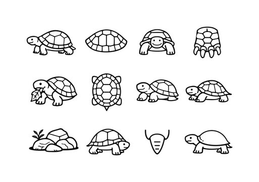 Land Turtle Icons. Land Turtle. Line icon set of Land Turtle: walking turtle, shell detail, front view turtle, turtle foot, turtle eating leaf, shell from