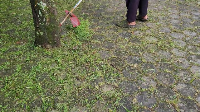 Cleaning weeds and tall grass on paving block field