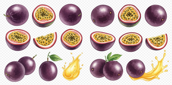 Set of fresh passion fruit whole and sliced with juice splash, realistic vector illustration.