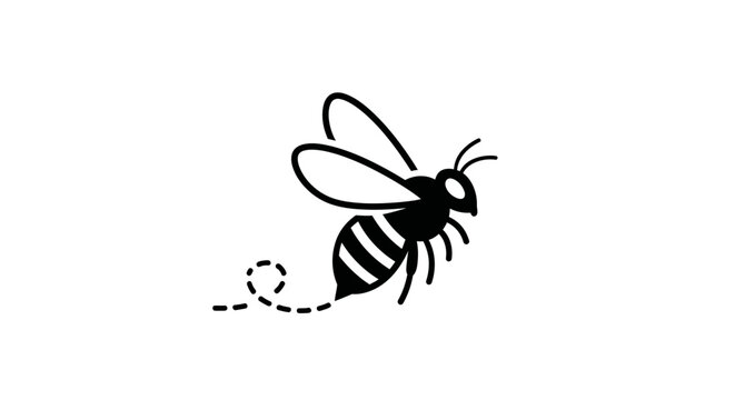 Black and white bee flying alone.
