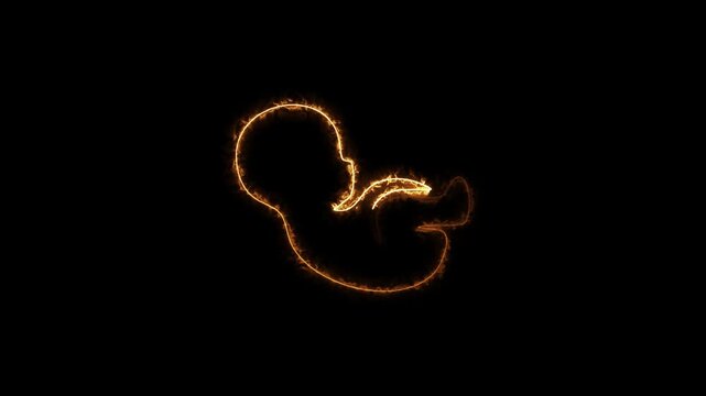 Baby embryo in womb neon glow animation on black background. uterine cavity of women, cyan line Ultrasound of baby icon concept. 
