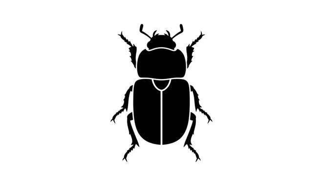 Black beetle insect on white background.