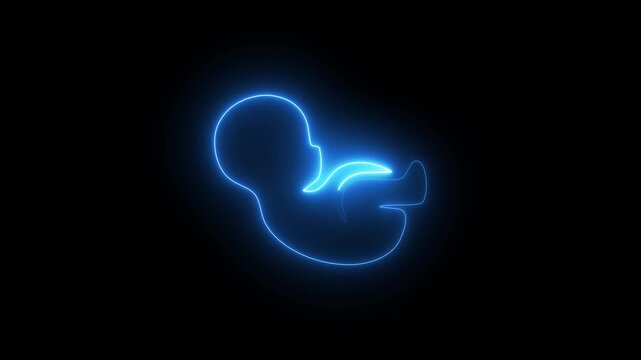 Baby embryo in womb neon glow animation on black background. uterine cavity of women, cyan line Ultrasound of baby icon concept. 