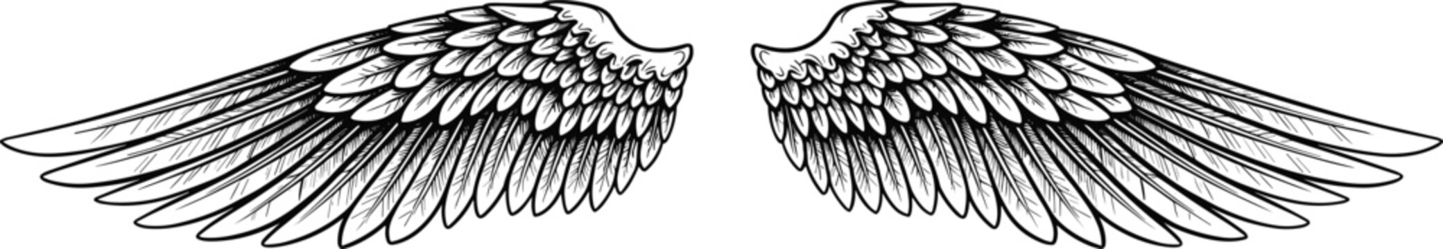 Stylized wings illustration, detailed black and white symmetrical feather design, artistic vector art for fantasy, tattoos, decoration