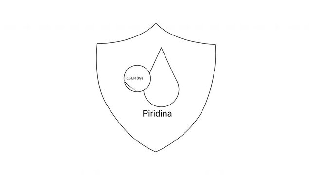 Piri?polis Uruguay Shield Emblem - History and Symbolism in Design.