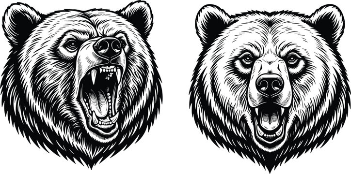Vector illustration of bear heads with roaring and stern expressions symbolizing wildlife, strength, emotion, nature, education, and decorative design