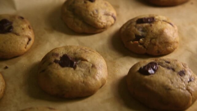 Freshly Baked Chocolate Chip Cookies